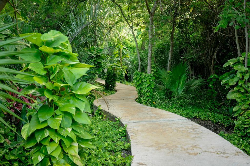 Amarte Maroma Hotel Eco Boutique Spa Punta Maroma Exterior photo