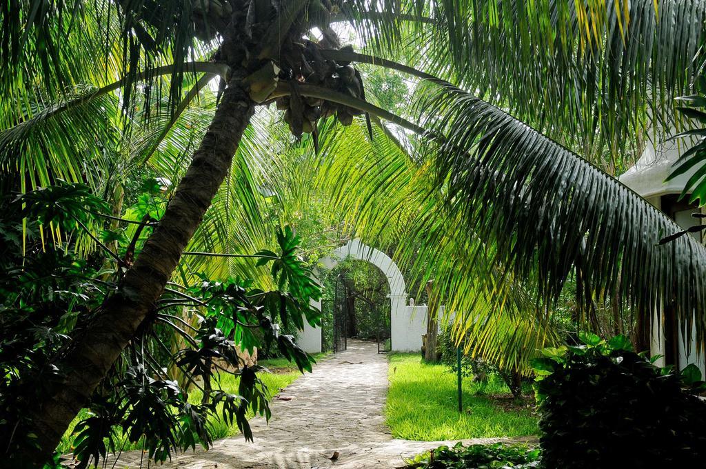 Amarte Maroma Hotel Eco Boutique Spa Punta Maroma Exterior photo