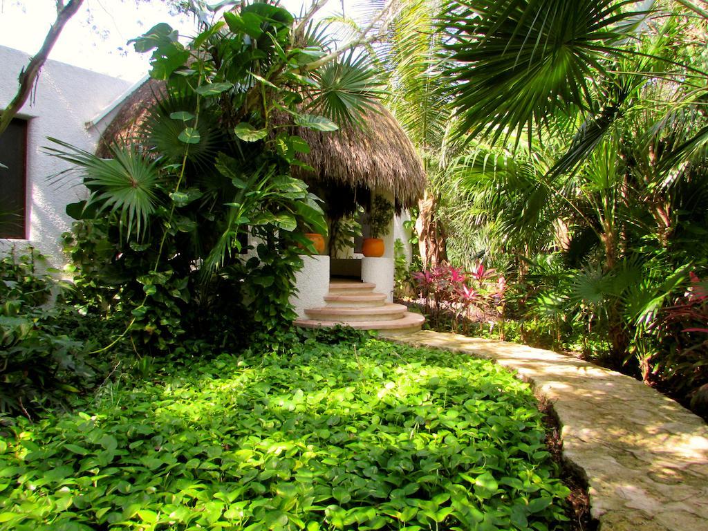 Amarte Maroma Hotel Eco Boutique Spa Punta Maroma Exterior photo