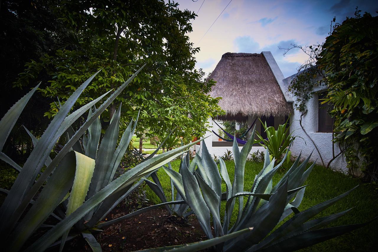 Amarte Maroma Hotel Eco Boutique Spa Punta Maroma Exterior photo